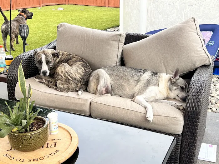 Dutchess County Animal Hospital Picture 9