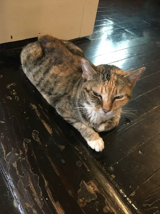 Dutchess County Animal Hospital Picture 6