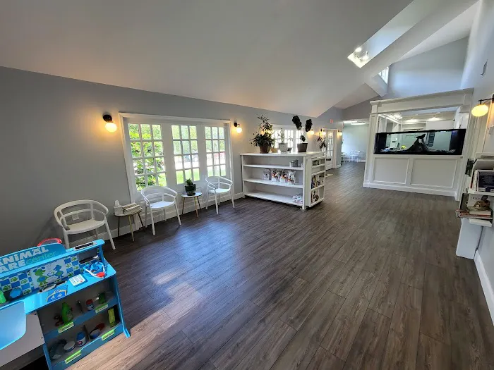 Poughkeepsie Animal Wellness Picture 8