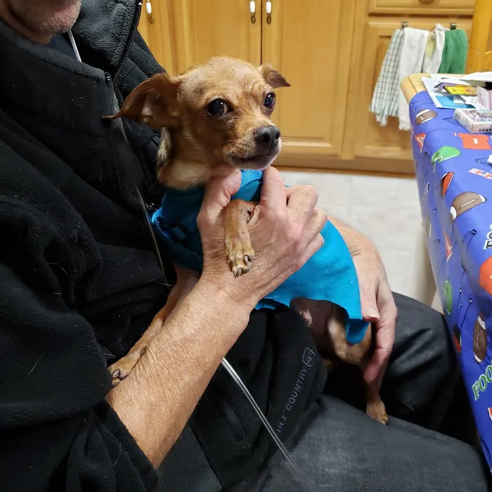 Poughkeepsie Animal Wellness Picture 1