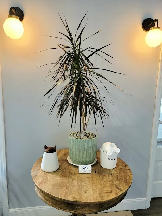 Poughkeepsie Animal Wellness Picture 5