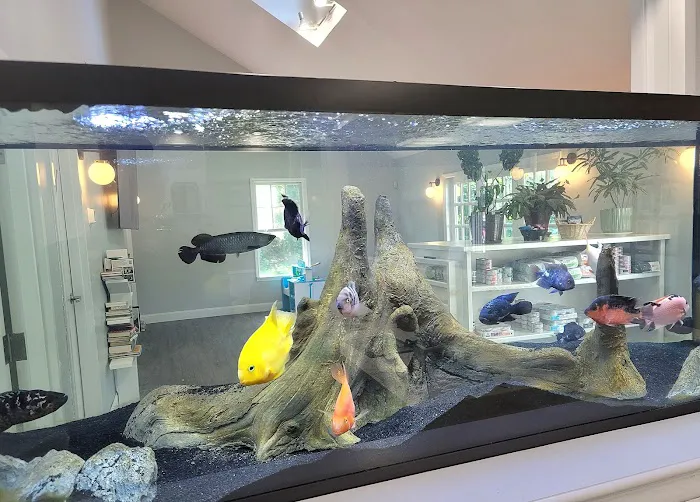 Poughkeepsie Animal Wellness Picture 6