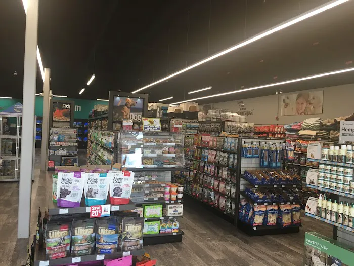 Pet Supermarket Picture 5