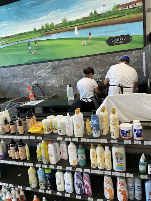 Pet Supermarket Picture 7