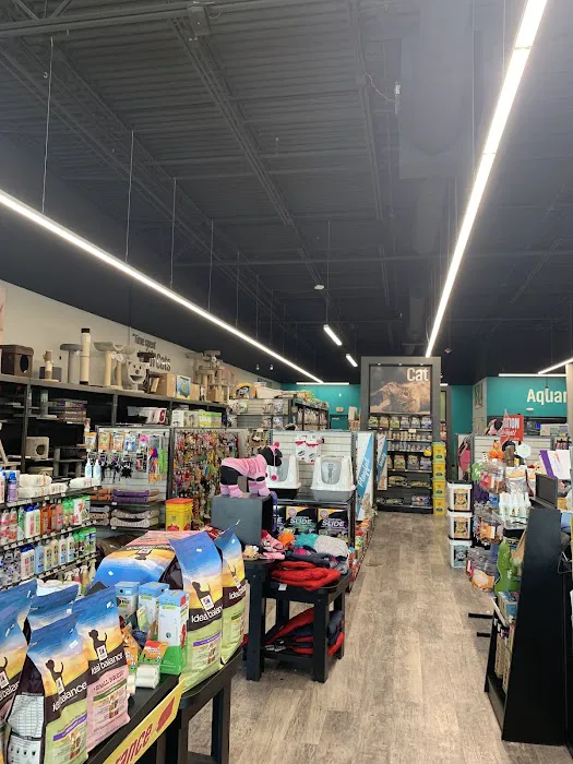 Pet Supermarket Picture 10