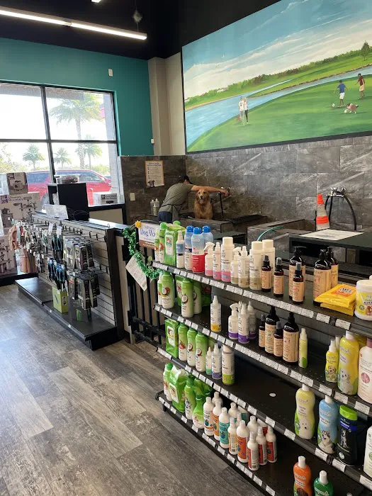 Pet Supermarket Picture 9