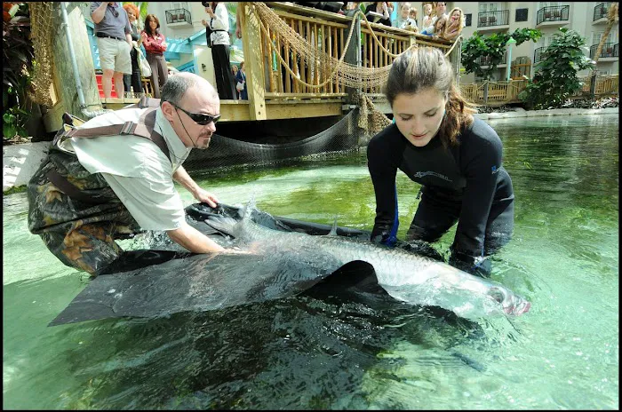 Bottled Ocean Inc Picture 4