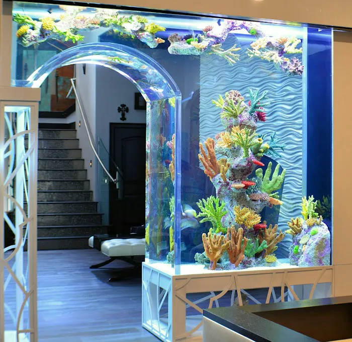 Bottled Ocean Inc Picture 5