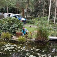 Bottled Ocean Inc ico