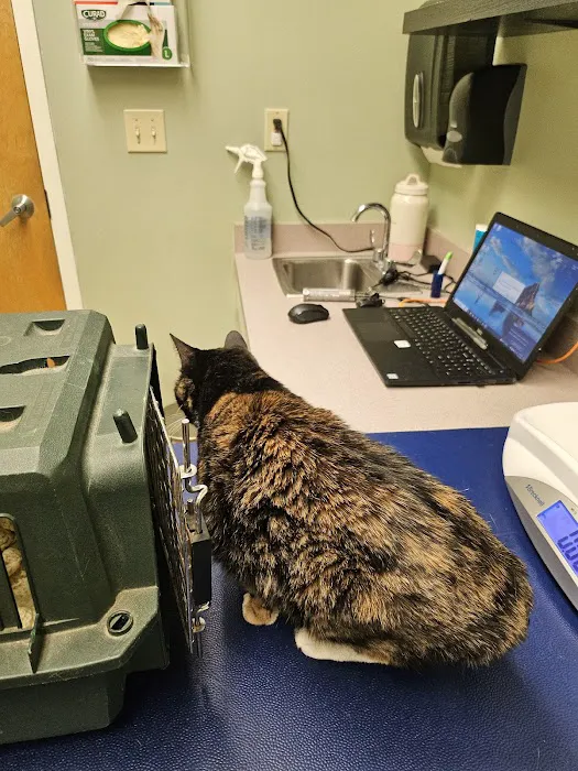 Ani-Mall Pet Hospital Picture 7