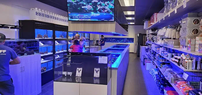 World Wide Corals - Winter Park Picture 2