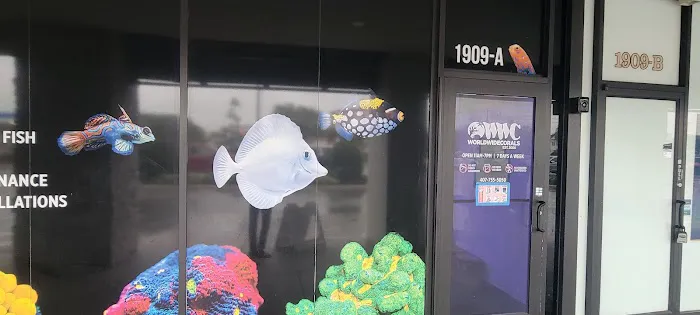 World Wide Corals - Winter Park Picture 1