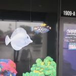 World Wide Corals - Winter Park