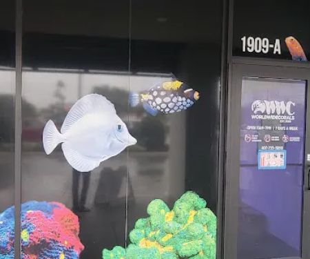 World Wide Corals - Winter Park