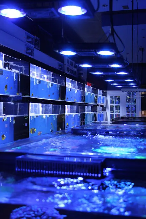 Living Reef Orlando Picture 5