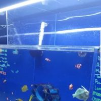 Living Reef Orlando ico