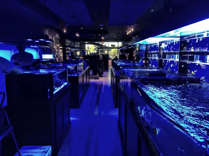 Living Reef Orlando Picture 4