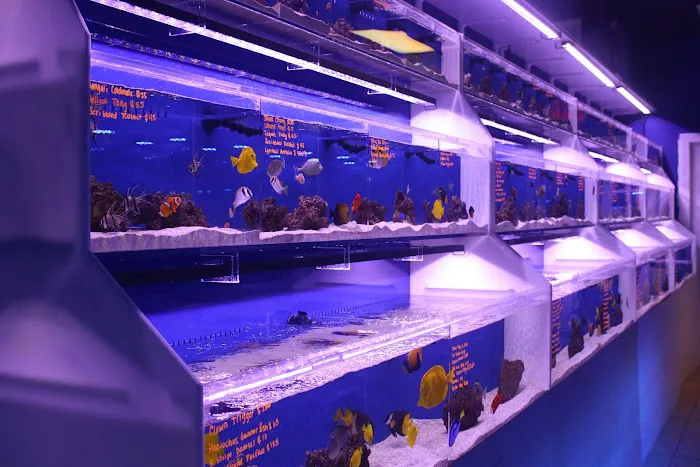 Living Reef Orlando Picture 10
