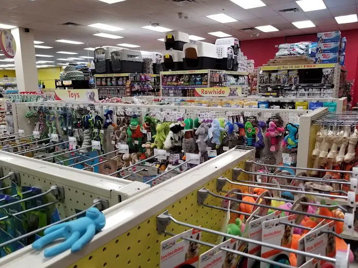 Pet Supermarket Picture 4