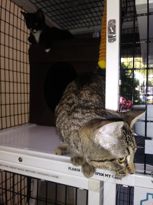 Pet Supermarket Picture 3