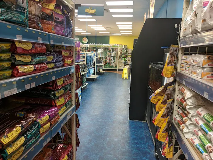 Pet Supermarket Picture 8