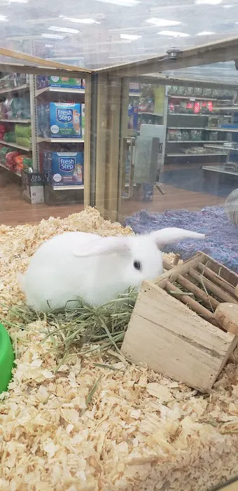 Pet Supermarket Picture 6