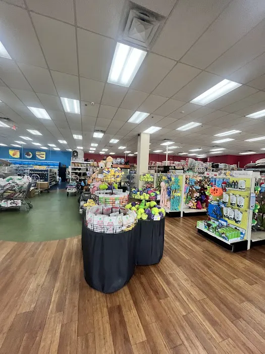 Pet Supermarket Picture 10