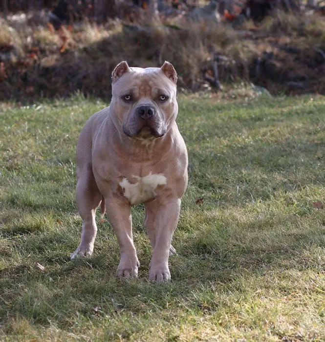 Middletown Veterinary Hospital Picture 5