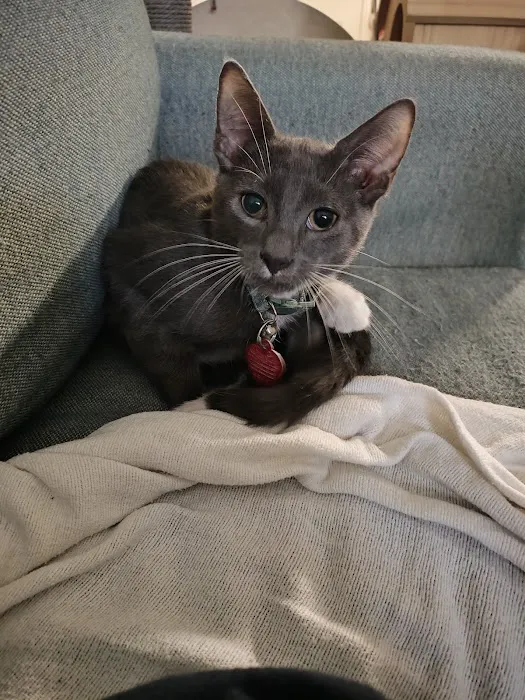 Middletown Veterinary Hospital Picture 2