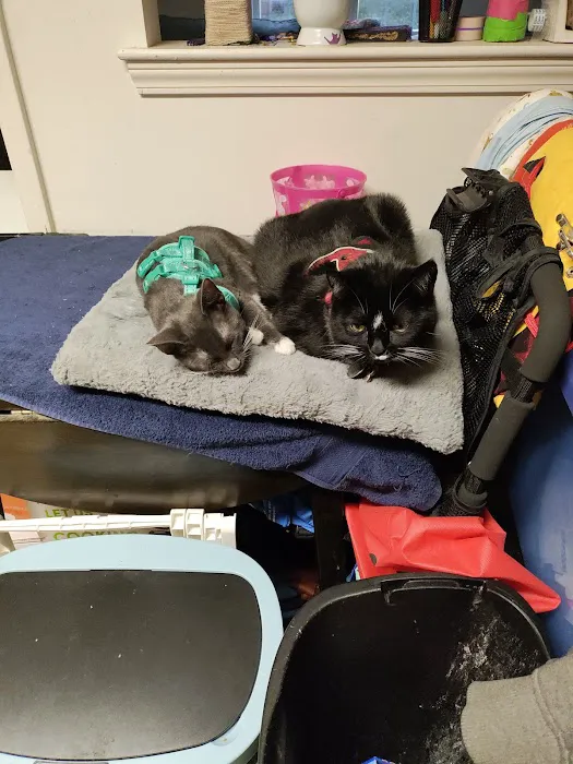 Middletown Veterinary Hospital Picture 1