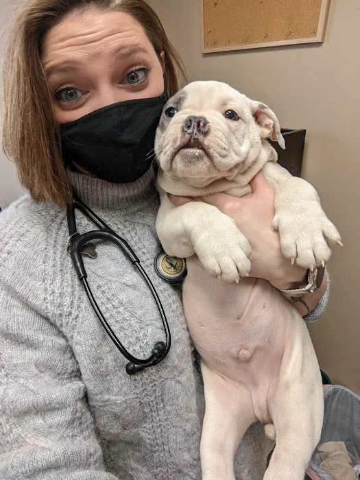 Middletown Veterinary Hospital Picture 10