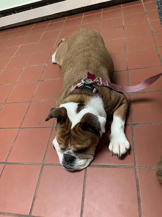 Quality Pet Care, LLC Picture 4