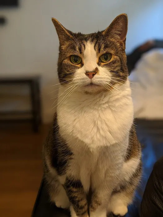 Quality Pet Care, LLC Picture 3