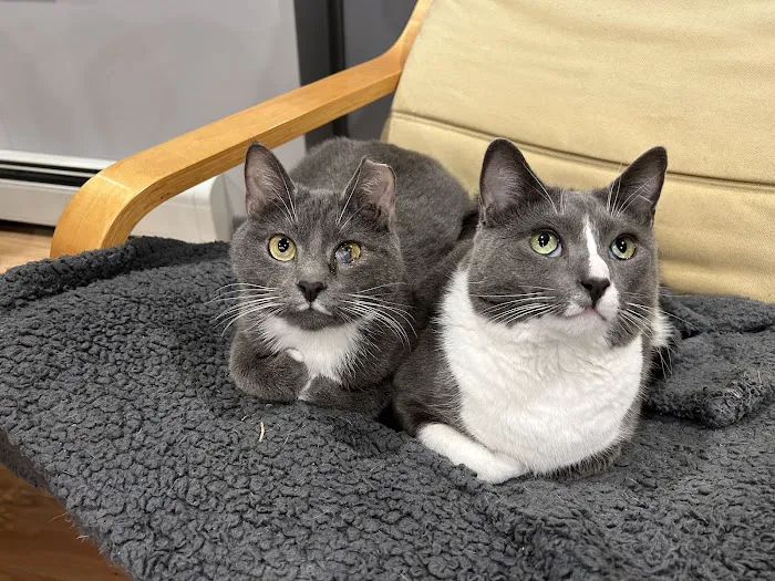 Quality Pet Care, LLC Picture 1