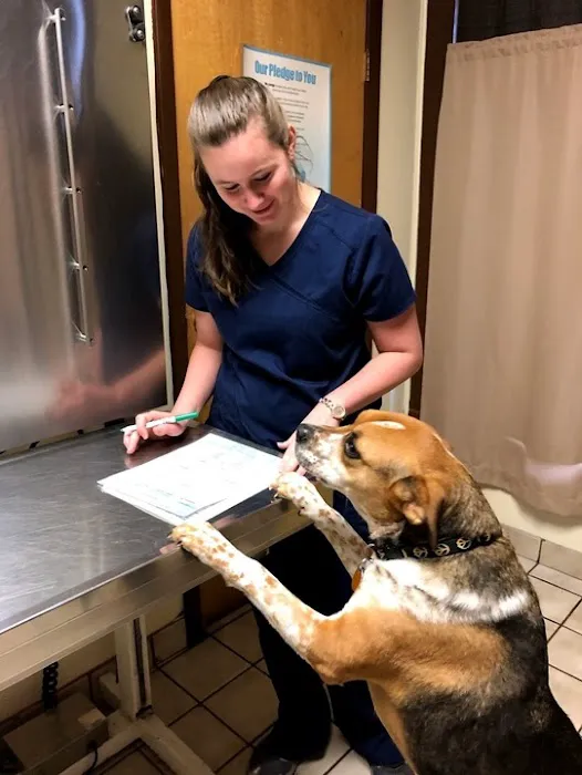 Quality Pet Care, LLC Picture 10