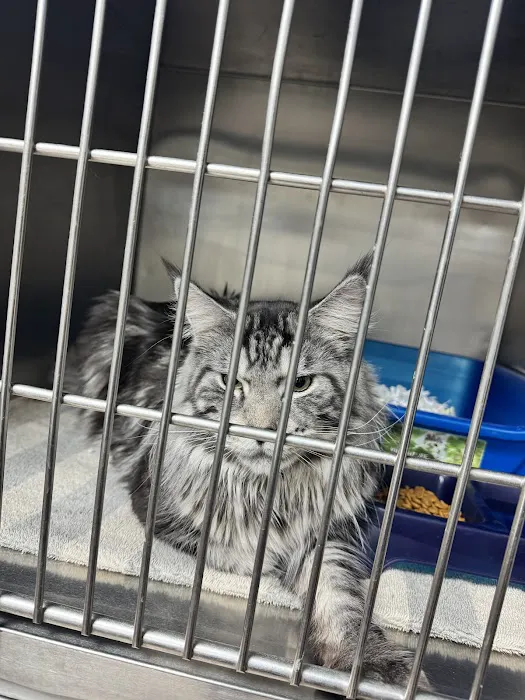 Quality Pet Care, LLC Picture 7