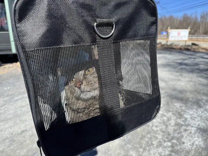 Quality Pet Care, LLC Picture 5