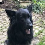 Newton Veterinary Hospital