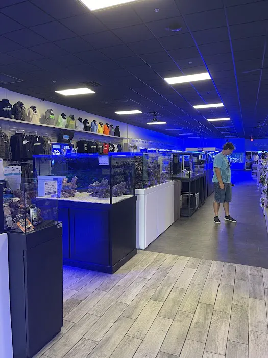 World Wide Corals Picture 1