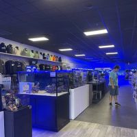 World Wide Corals ico