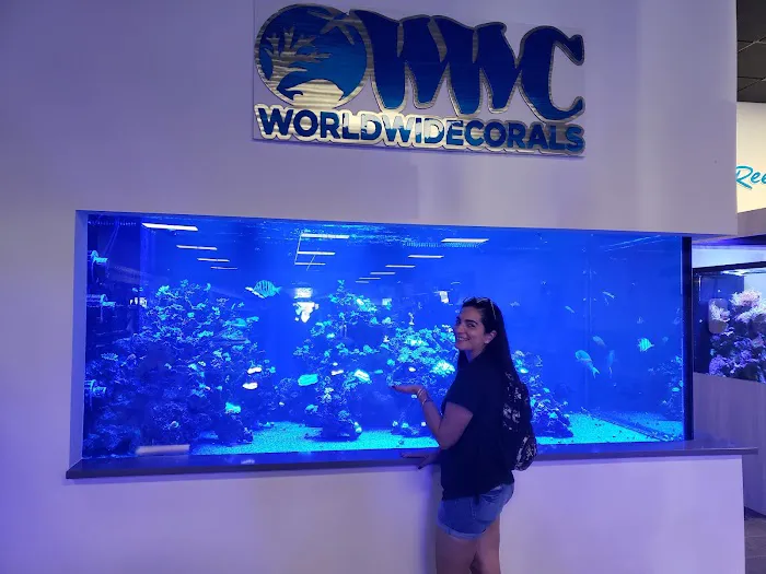 World Wide Corals Picture 3