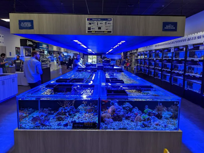 World Wide Corals Picture 8