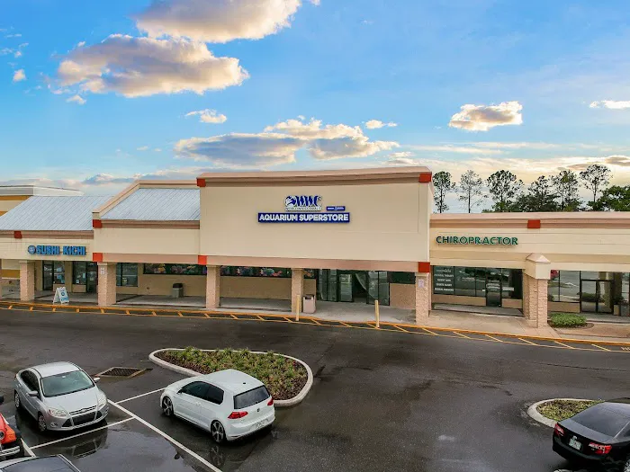 World Wide Corals Picture 7