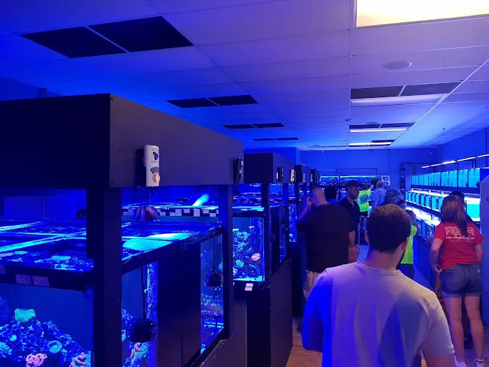 World Wide Corals Picture 2