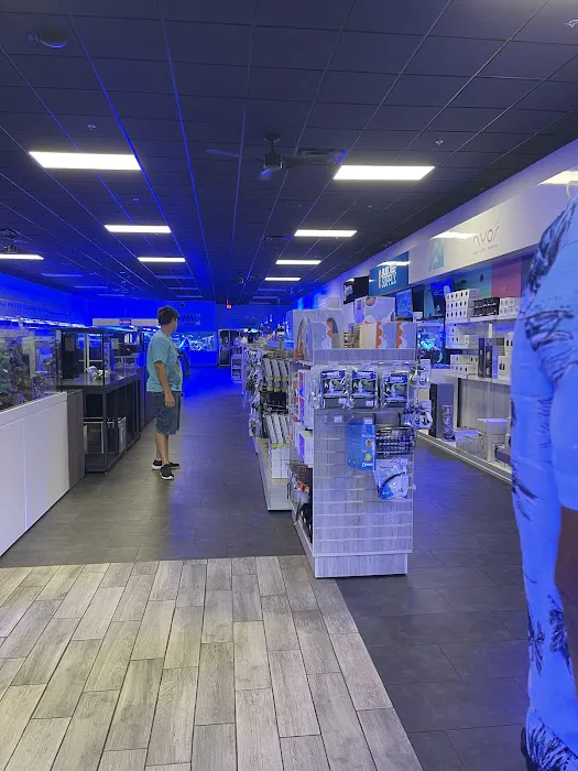 World Wide Corals Picture 10