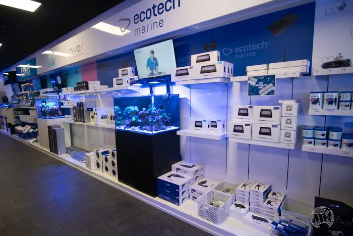 World Wide Corals Picture 9