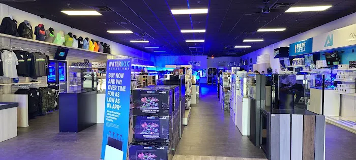 World Wide Corals Picture 4