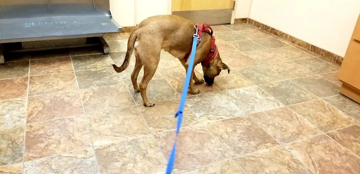 Fredon Animal Hospital Picture 5