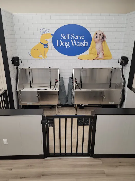 Pet Supermarket Picture 9