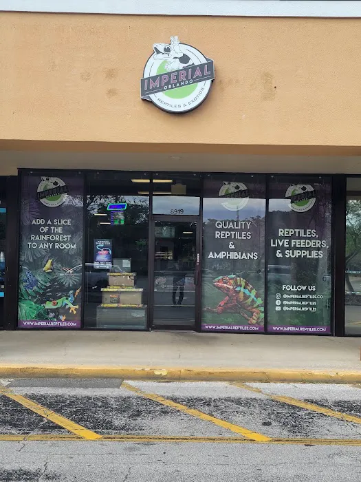 Imperial Reptiles & Exotics Picture 5